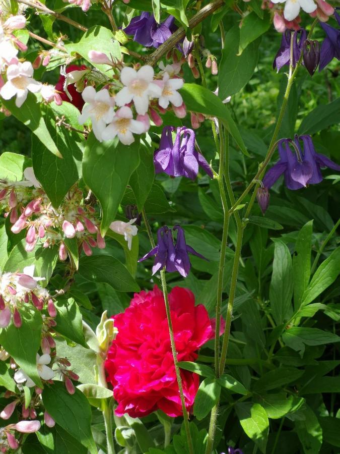 Mâlain La Malinette B&B, Calme Et Authenticite מראה חיצוני תמונה