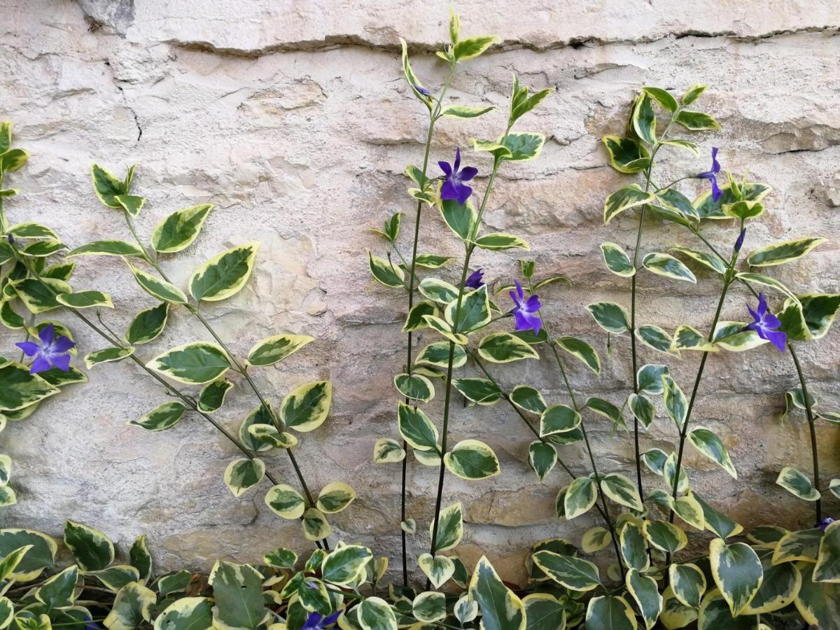 Mâlain La Malinette B&B, Calme Et Authenticite מראה חיצוני תמונה